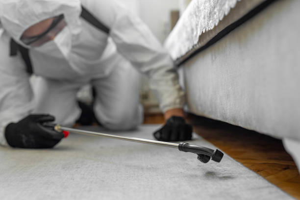 Professional Bed Bug Control technician working in Pacific Grove, CA